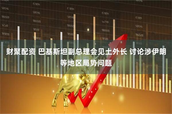 财聚配资 巴基斯坦副总理会见土外长 讨论涉伊朗等地区局势问题