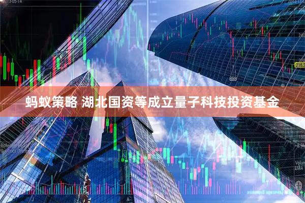蚂蚁策略 湖北国资等成立量子科技投资基金