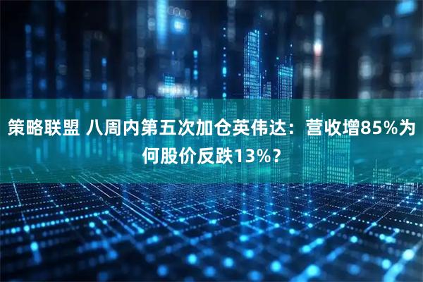 策略联盟 八周内第五次加仓英伟达:营收增85%为何股价反跌13%?